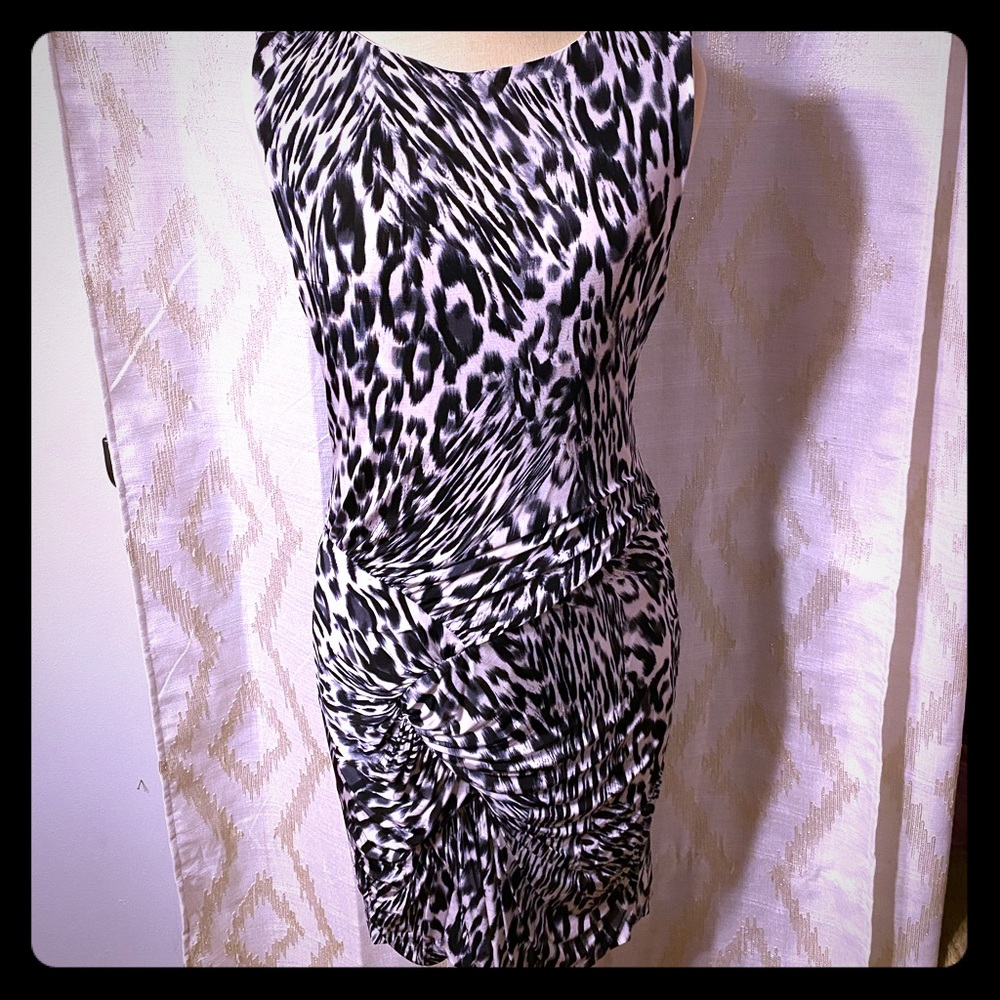 Cache Snow Leopard Dress